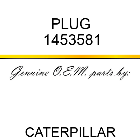 PLUG 1453581