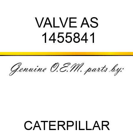 VALVE AS 1455841