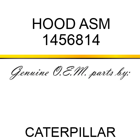 HOOD ASM 1456814