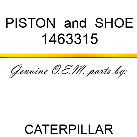 PISTON & SHOE 1463315