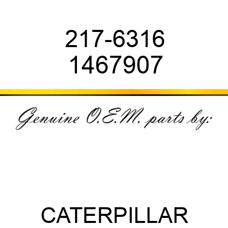217-6316 1467907