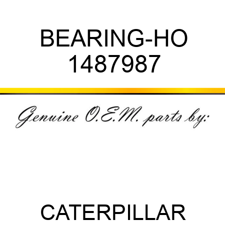 BEARING-HO 1487987