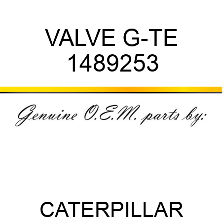 VALVE G-TE 1489253