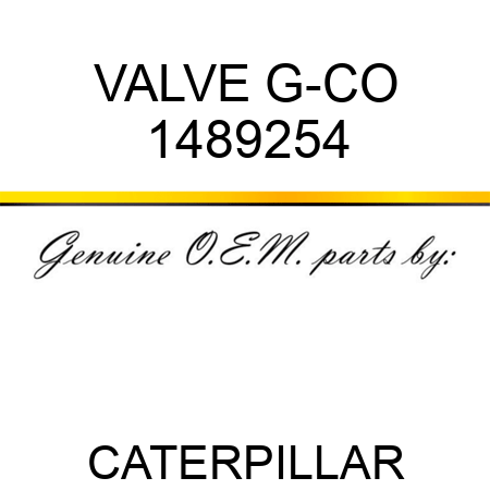 VALVE G-CO 1489254