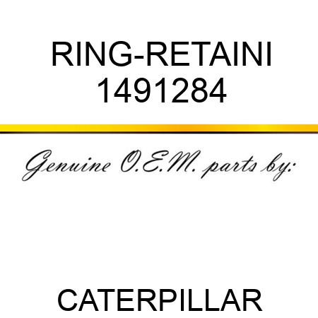 RING-RETAINI 1491284
