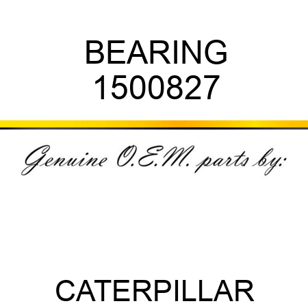BEARING 1500827