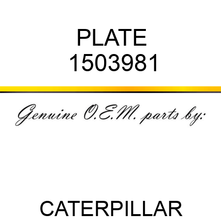 PLATE 1503981