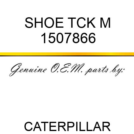 SHOE TCK M 1507866