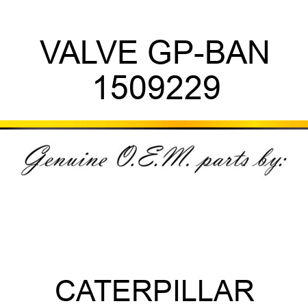 VALVE GP-BAN 1509229