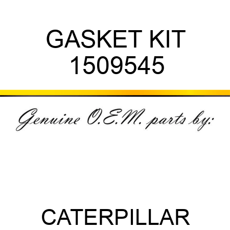 GASKET KIT 1509545