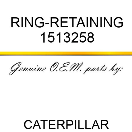 RING-RETAINING 1513258