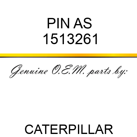 PIN AS 1513261