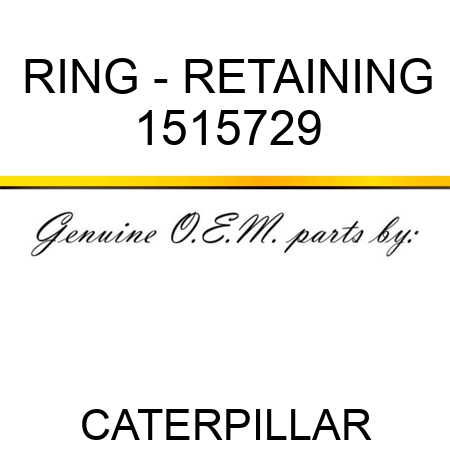 RING - RETAINING 1515729