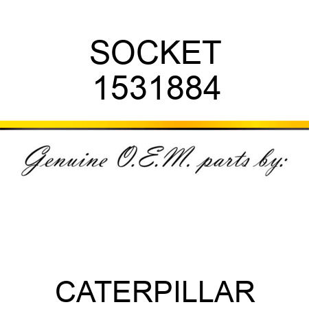 SOCKET 1531884