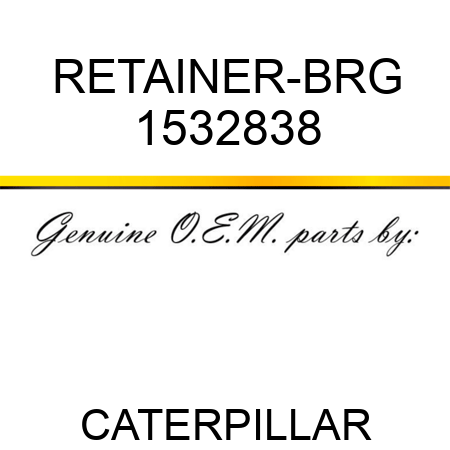 RETAINER-BRG 1532838