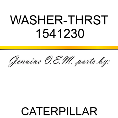 WASHER-THRST 1541230