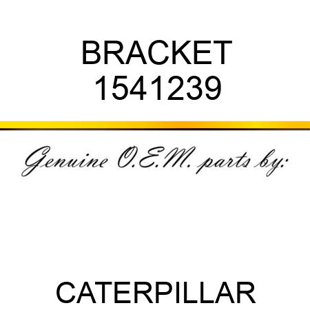 BRACKET 1541239