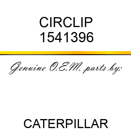 CIRCLIP 1541396