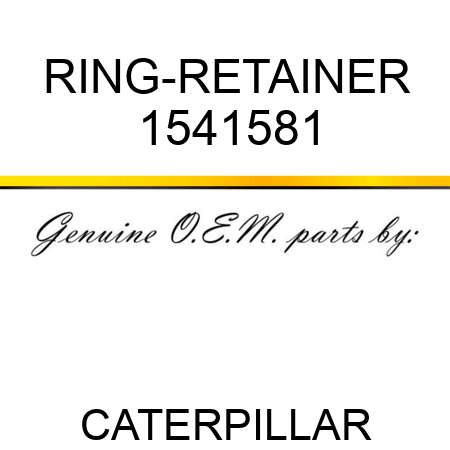 RING-RETAINER 1541581
