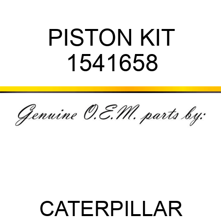 PISTON KIT 1541658