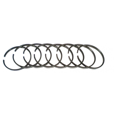 KIT (Piston Ring - Includes 8 Ring) 1S9875