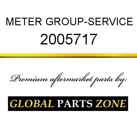 METER GROUP-SERVICE 2005717