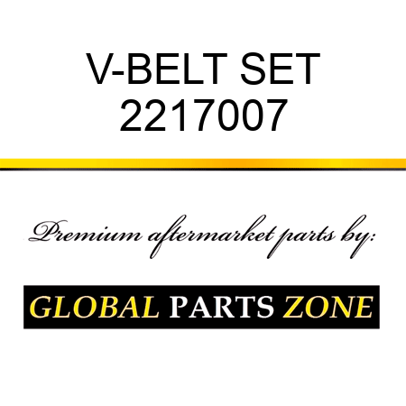 V-BELT SET 2217007