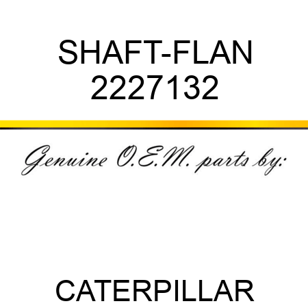 SHAFT-FLAN 2227132