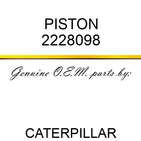 PISTON 2228098