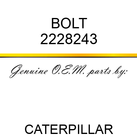 BOLT 2228243