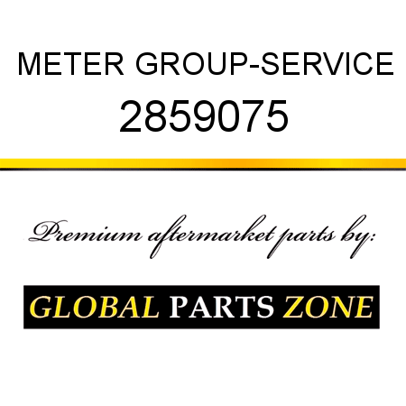 METER GROUP-SERVICE 2859075