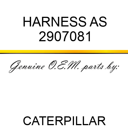 HARNESS AS 2907081