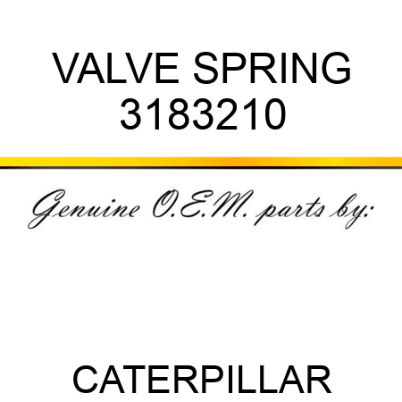 VALVE SPRING 3183210