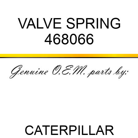 VALVE SPRING 468066