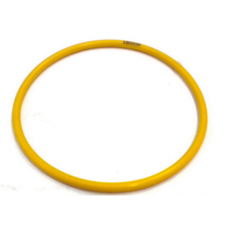 SEAL-O-RING 5M3038