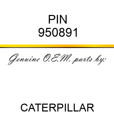 PIN 950891