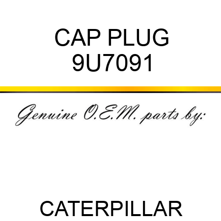 CAP PLUG 9U7091