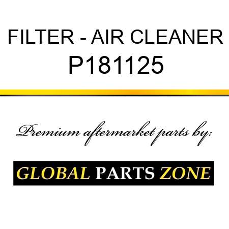 FILTER - AIR CLEANER P181125