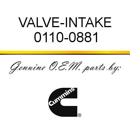 VALVE-INTAKE 0110-0881
