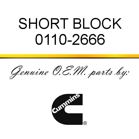 SHORT BLOCK 0110-2666