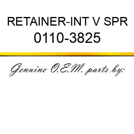 RETAINER-INT V SPR 0110-3825