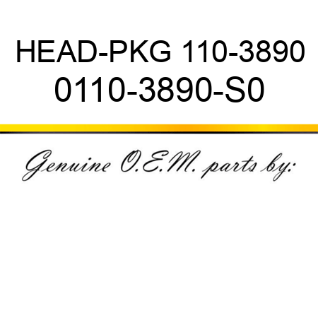 HEAD-PKG 110-3890 0110-3890-S0