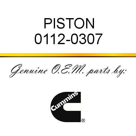 PISTON 0112-0307