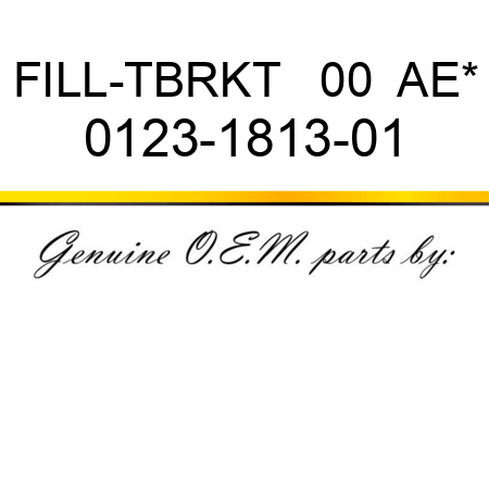 FILL-TBRKT   00  AE* 0123-1813-01