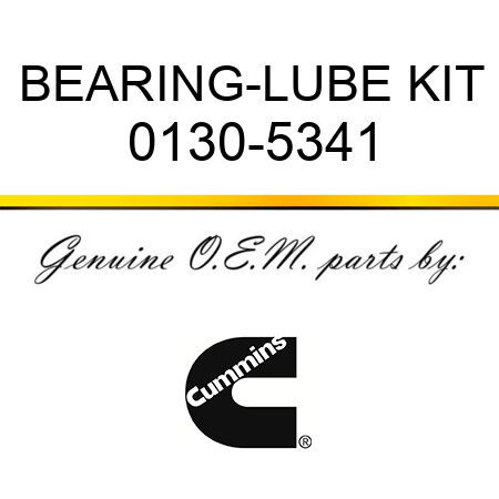 BEARING-LUBE KIT 0130-5341