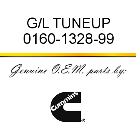 G/L TUNEUP 0160-1328-99