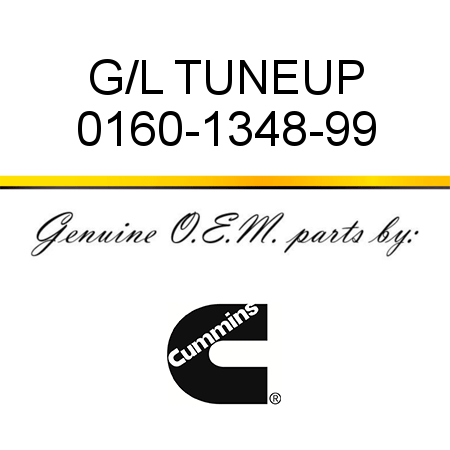 G/L TUNEUP 0160-1348-99