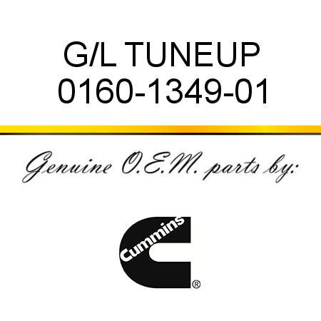 G/L TUNEUP 0160-1349-01