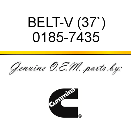 BELT-V (37`) 0185-7435