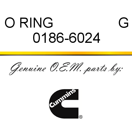 O RING                 G 0186-6024